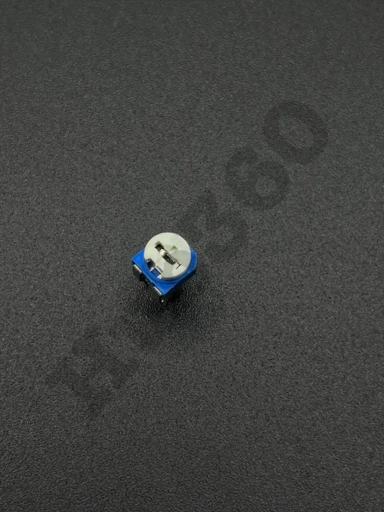 NFTP7029.webp