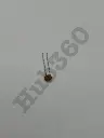 GEYC8026.webp
