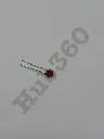 XNVY8007.webp