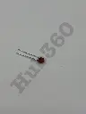 XNVY8007.webp