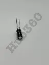 XAXO5672.webp
