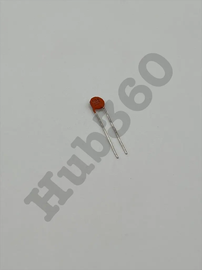 ABYR2091.webp