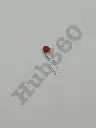 ABYR2091.webp