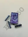 MSEF2969.webp