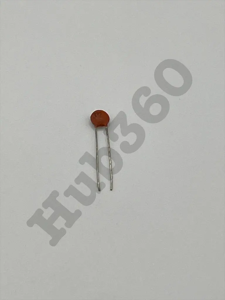 WFLG3977.webp