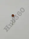 WFLG3977.webp