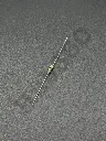 WSVW8982.webp