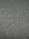 IMG_1967.webp