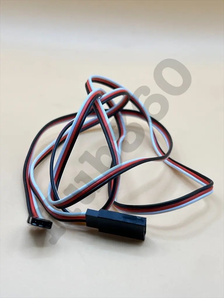 RODM0658.webp