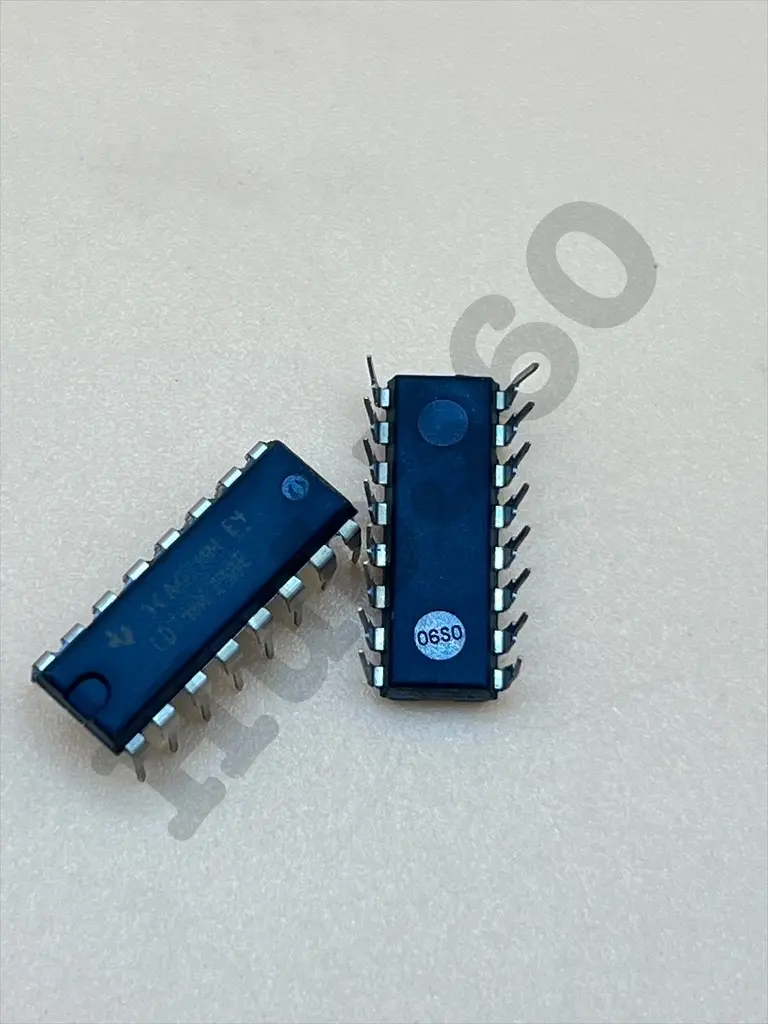 BSLE4028.webp