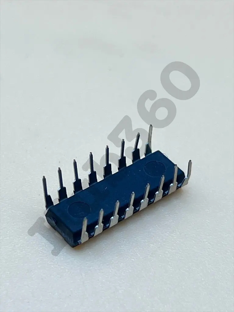 OKBV5556.webp