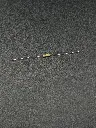 IMG_1898.webp