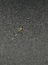 IMG_1907.webp