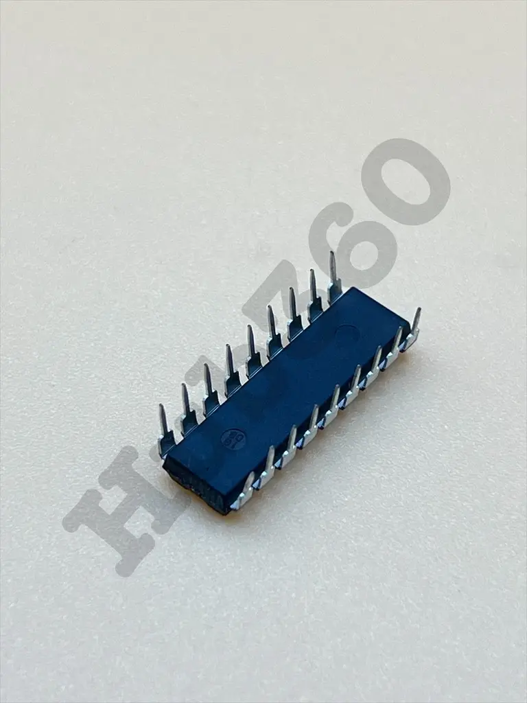 AAWG0253.webp