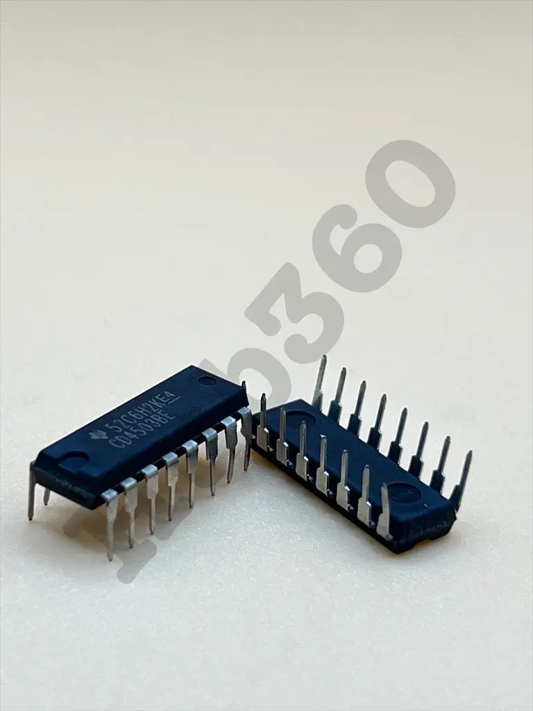 GBVB0585.webp