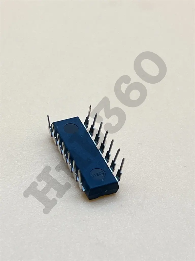 KLMH4424.webp