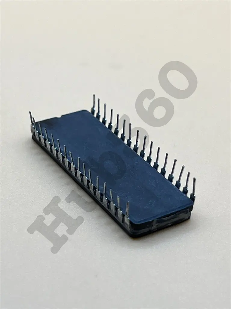 VLKU6643.webp