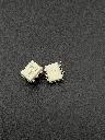 IMG_9920.webp