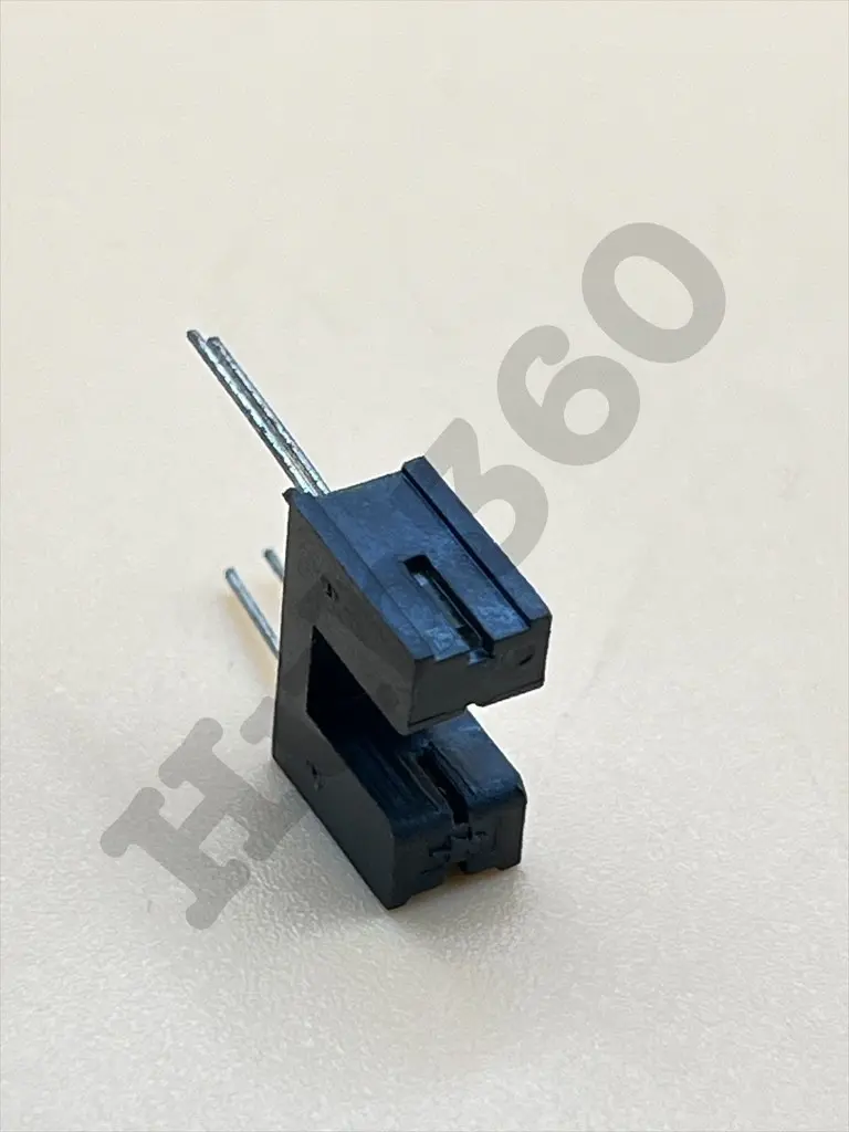 MTOK3039.webp