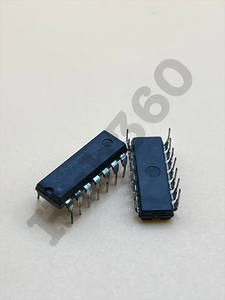 KRZK8450.webp