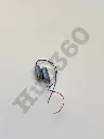 IZAR0699.webp