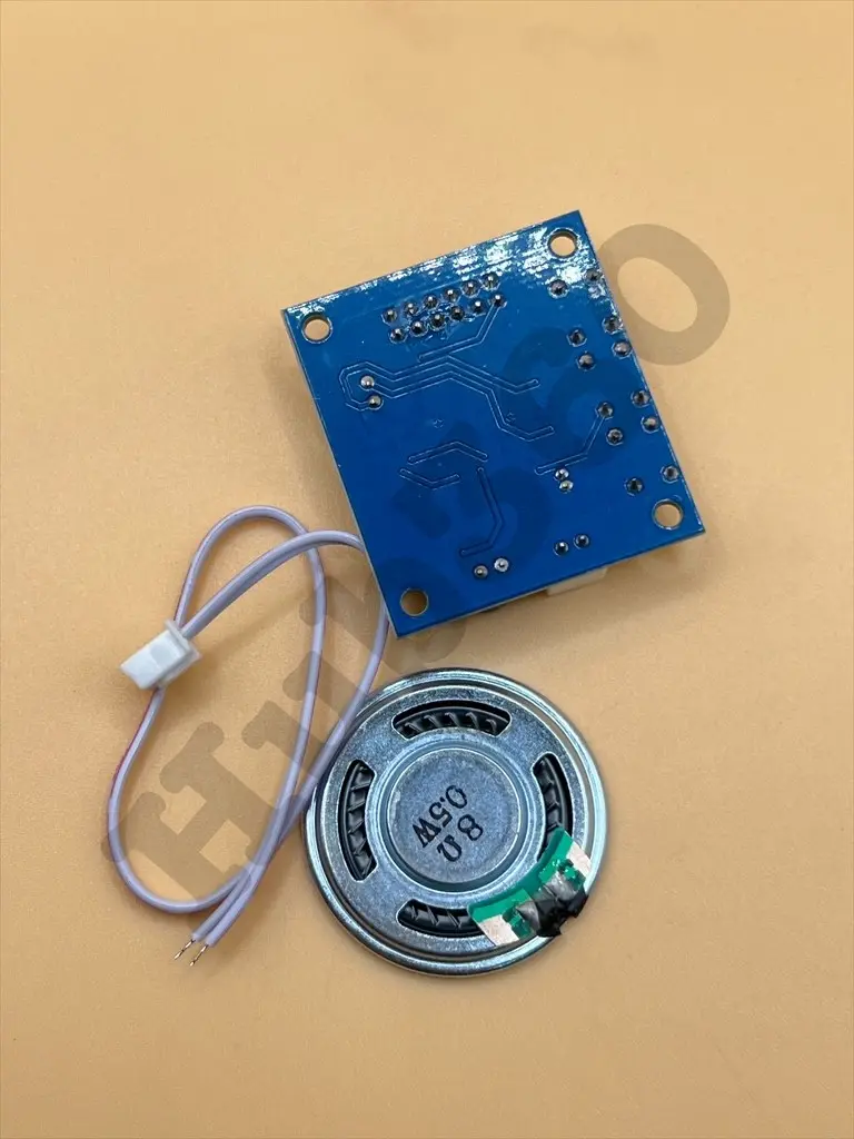 VMNM1564.webp