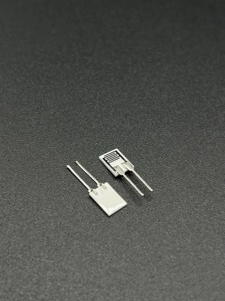 HR202L Humidity Resistor