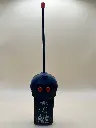 2 Channel Remote Control with Receiver