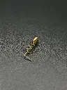 GSM/GPS copper spring antenna