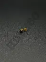 808nm 500mw+/3nm 5.6mm near infrared laser diode