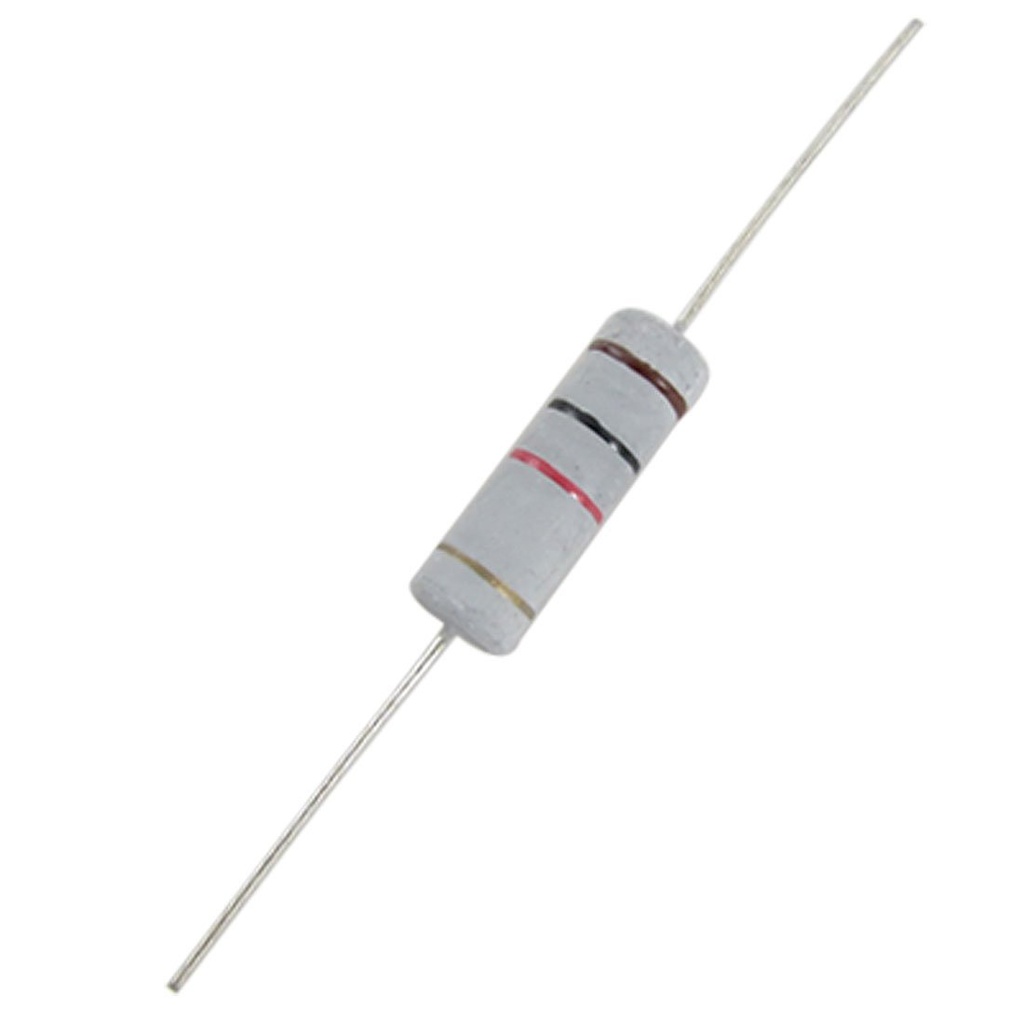1KΩ 2W resistor