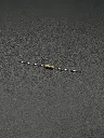 24KΩ 1/4W resistor