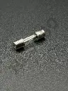 20A 250V fuse