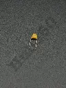 473 0.047uf 47nf 47000pf Monolithic Capacitor