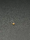 20pf monolithic capacitor