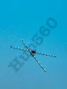 UF4007 Diode