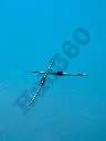 UF2007 Diode