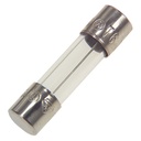 10A 250V fuse